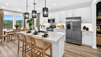 hj-tx-austin-village-grove-harrier-lot-7-kitc...