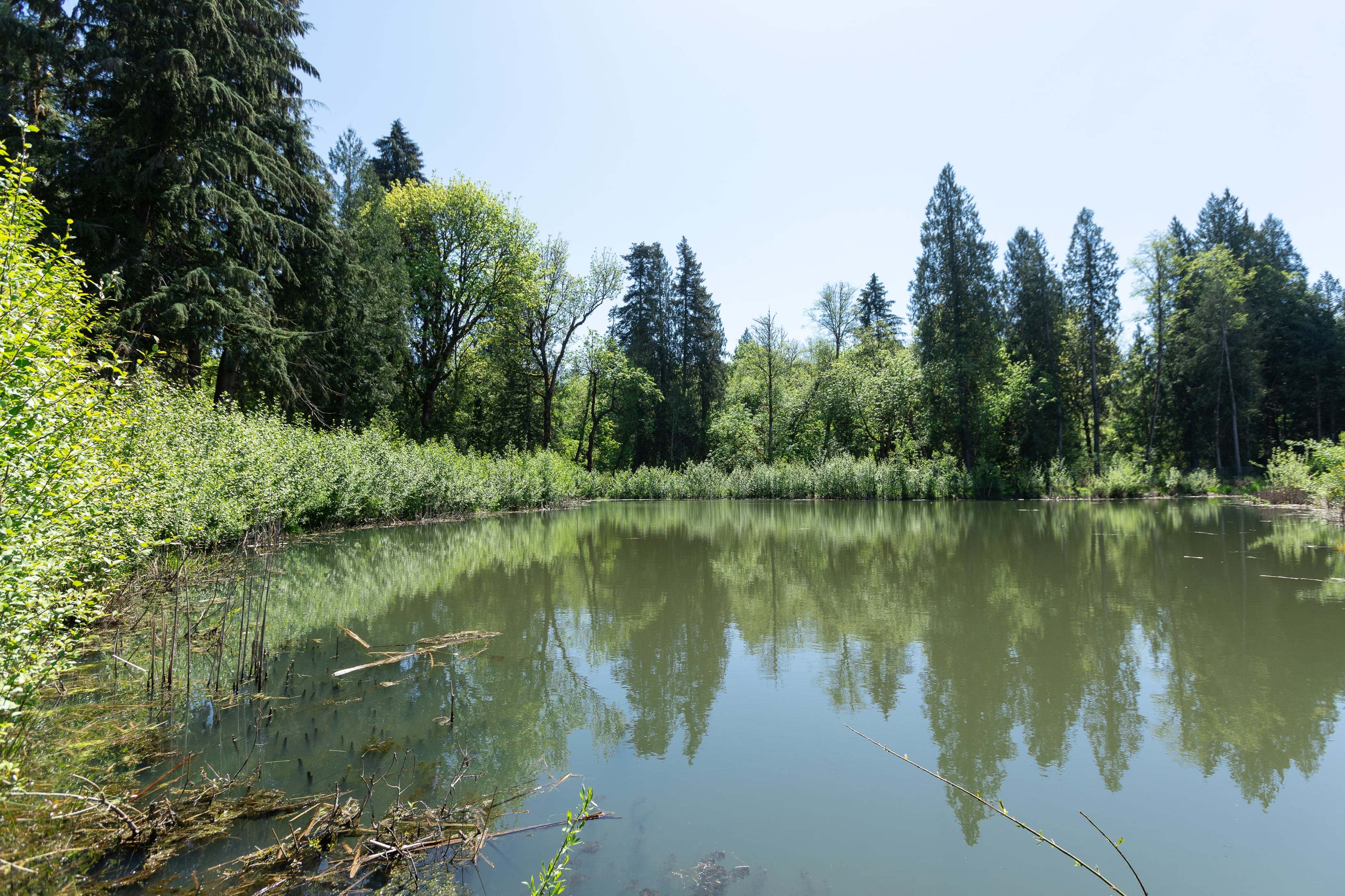 Woodin Creek Station_Wetland_7