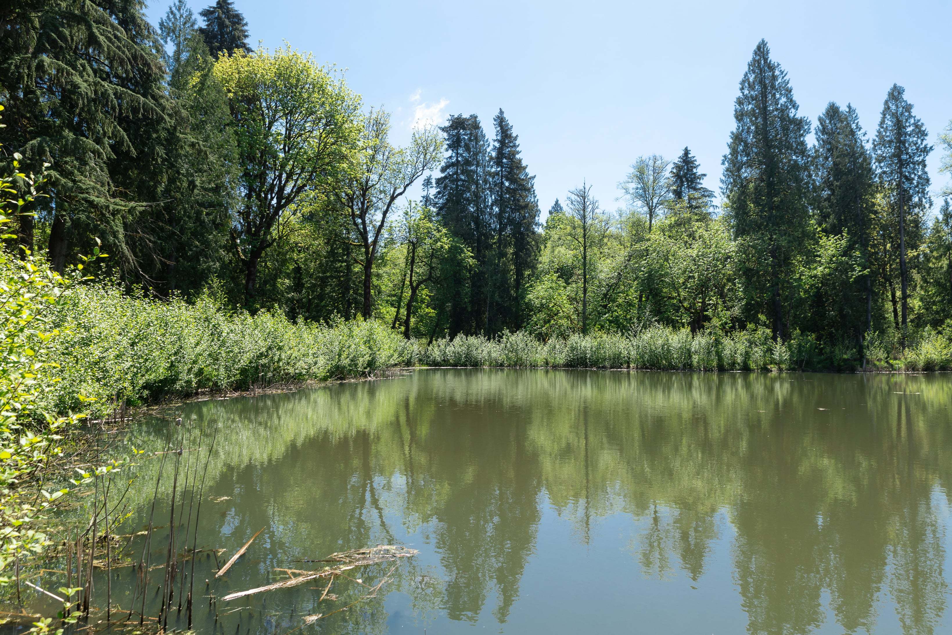 Woodin Creek Station_Wetland_8