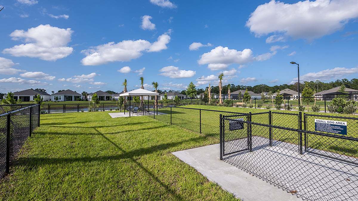 The-Venue-Esp-at-Center-Lake-Ranch dog park