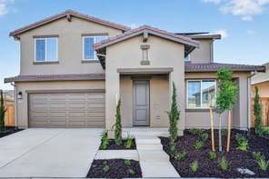1706 Shingle Avenue (Lavender)