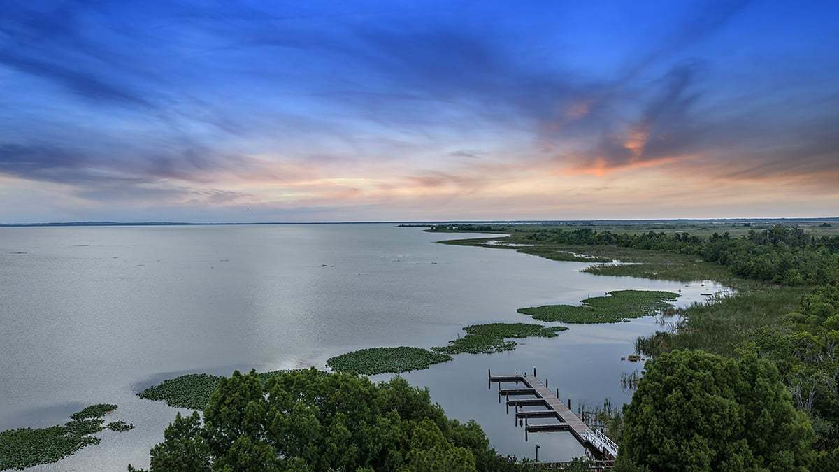 Magnolia-Park-0487-1200x675