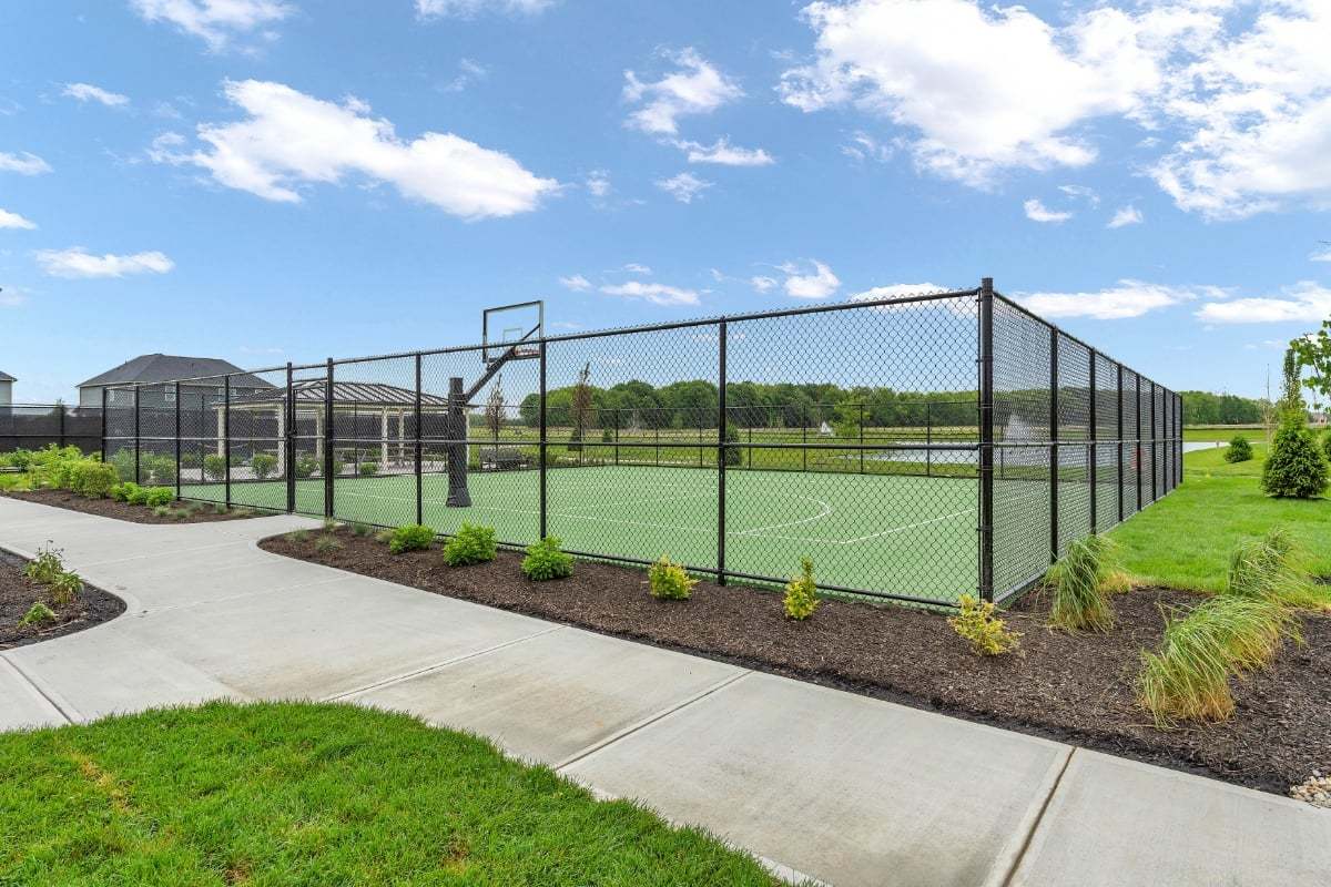 03 Basketball Court