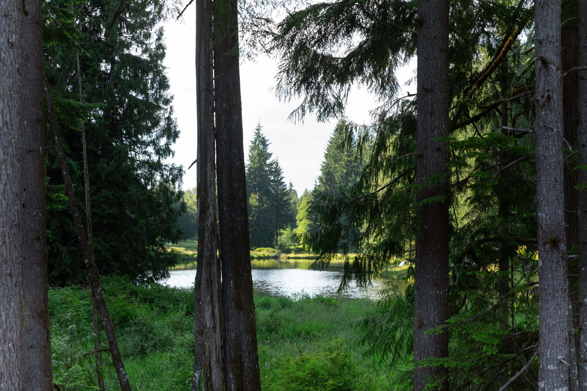 Caledon Estates Lake View Through the Trees