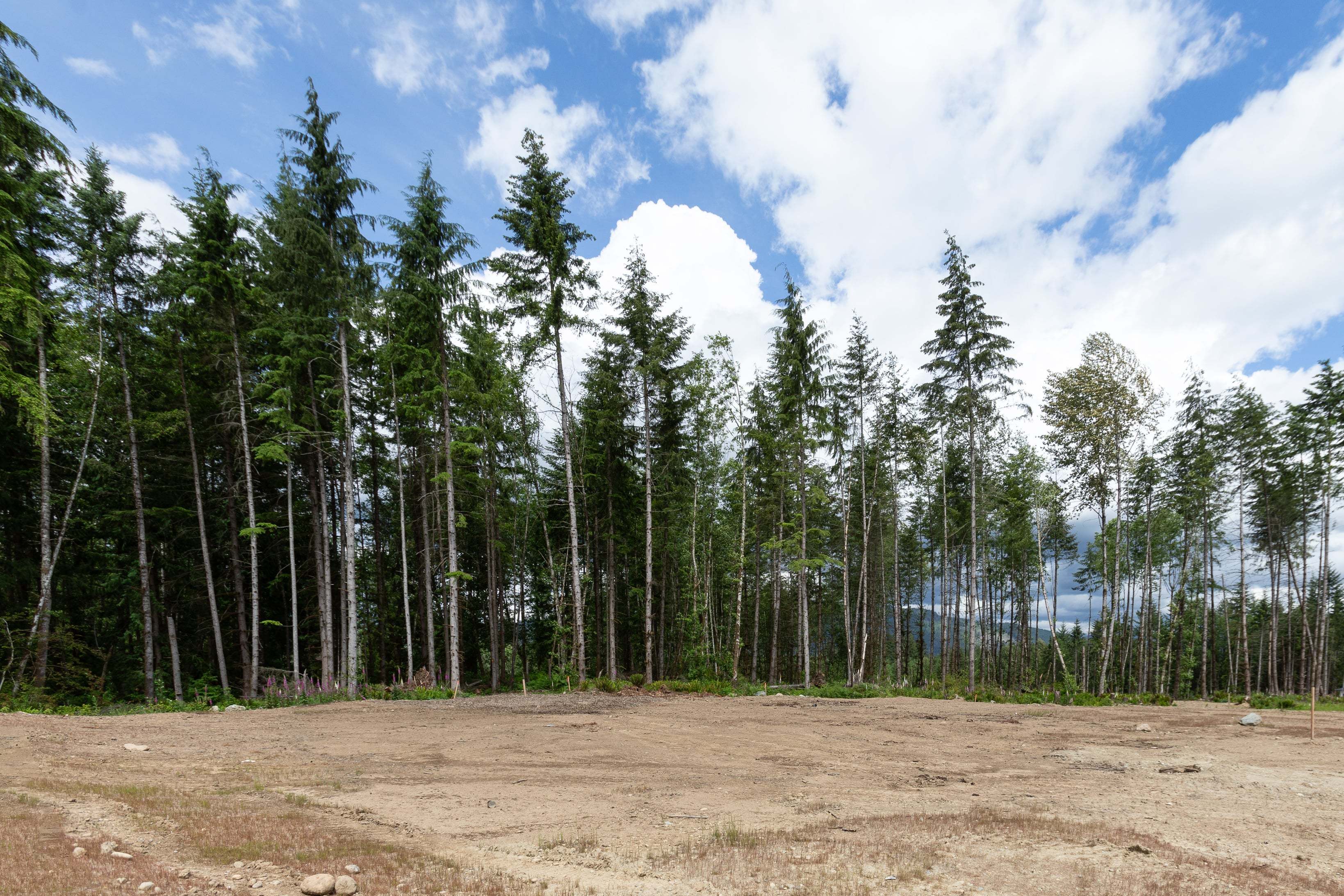 Caledon Estates 1 Acre Lots