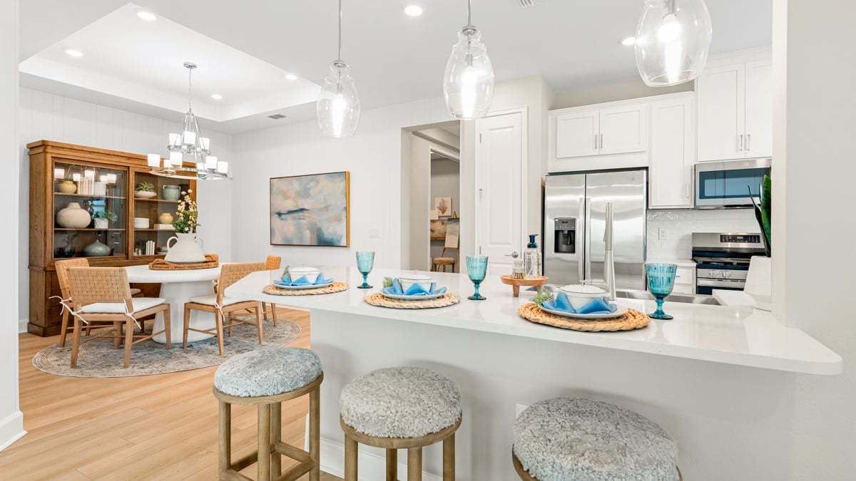 Esplanade at Skye Ranch - Ibis Model-14...