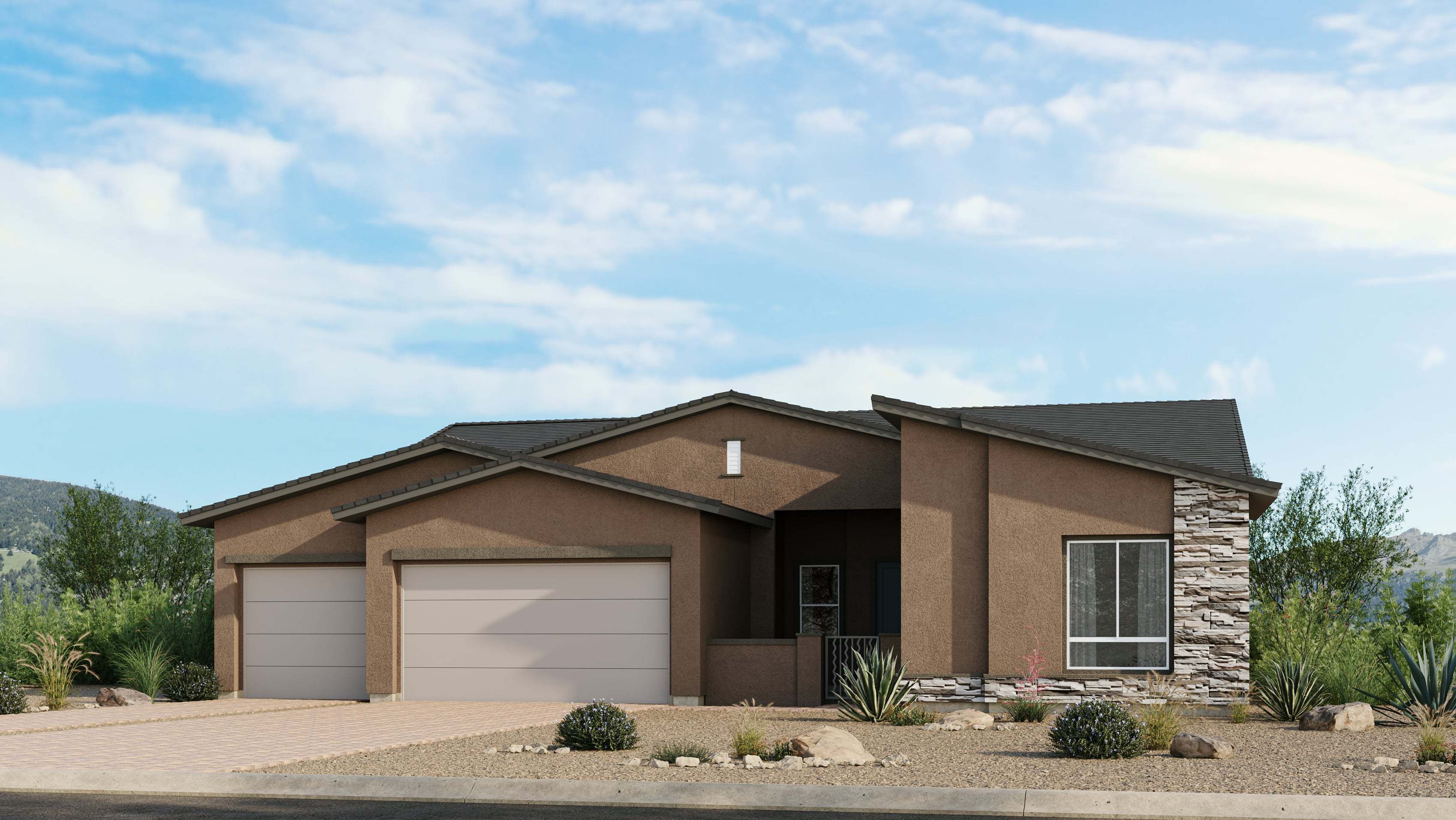 Pioneer_B_Sch_6_WildSage_LasVegas_VRZ