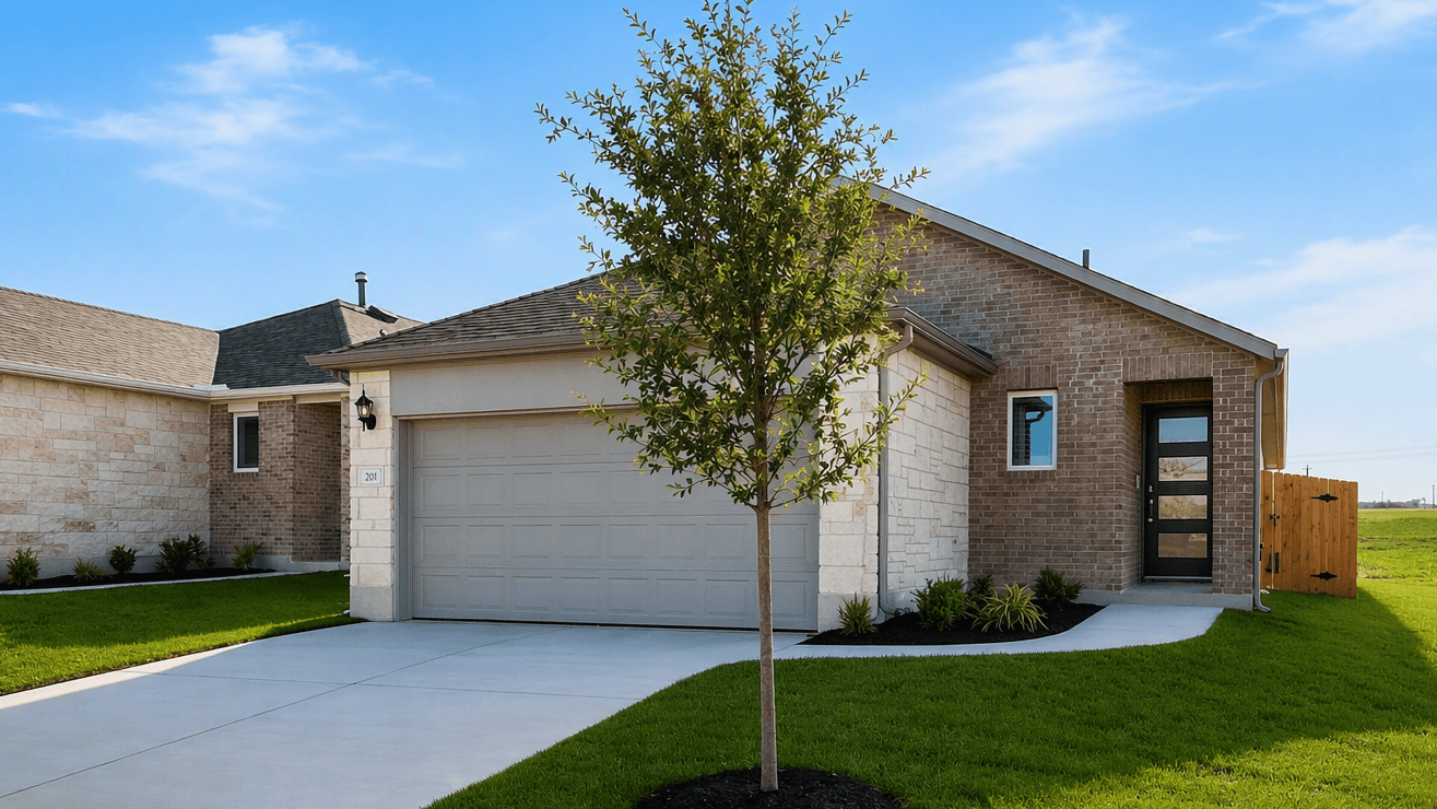 Falcon - Sunfield: Buda, Texas - Taylor Morrison