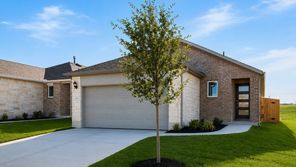 207 Bayou Mint Boulevard (Falcon)