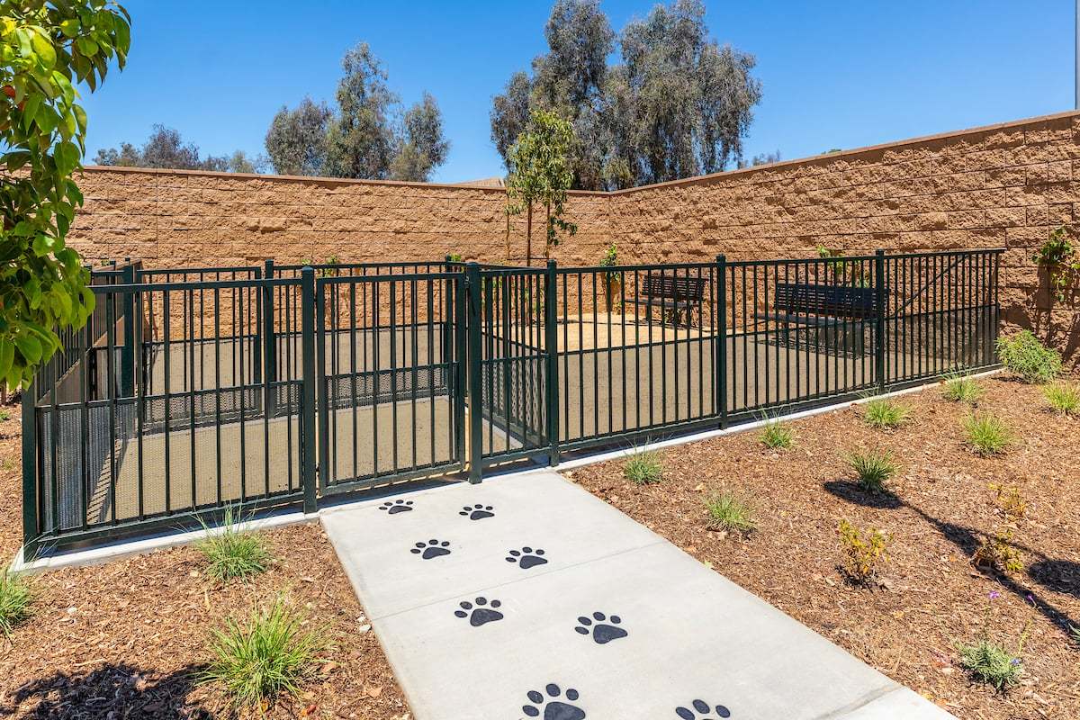 Juno-Dog Park