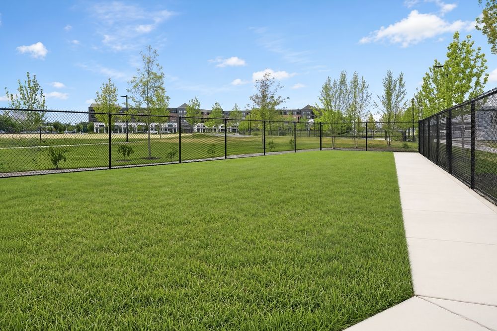09 Dog Park