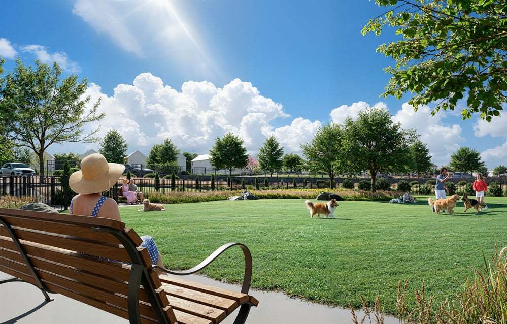 Dog Park 1