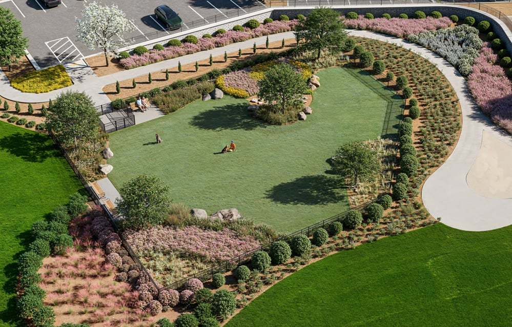 Dog Park Aerial