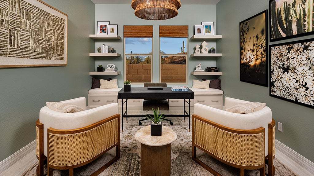 Saddleback Everglade Study 1024x576