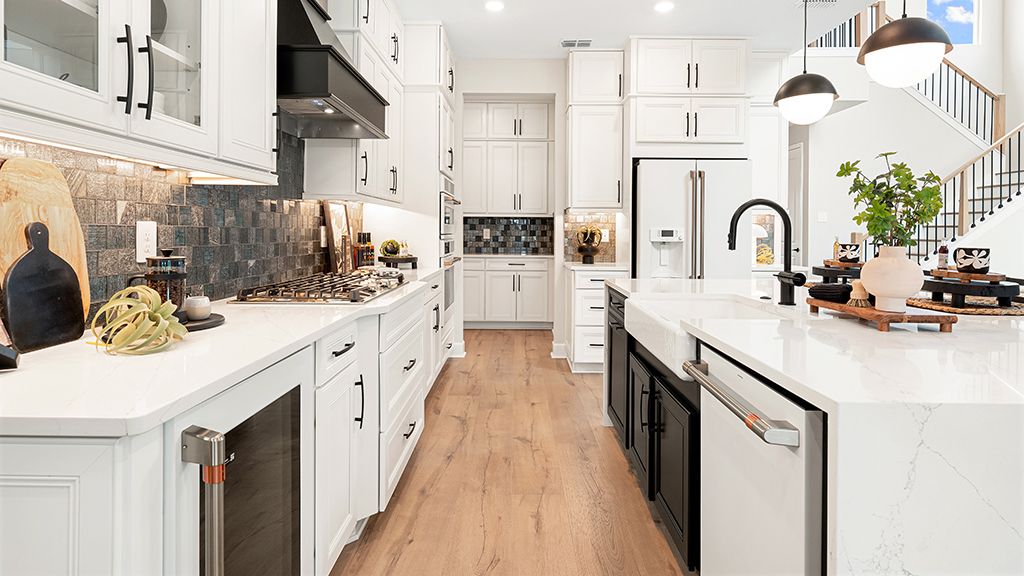 SAR-Cassia-Nantucket Model-19
