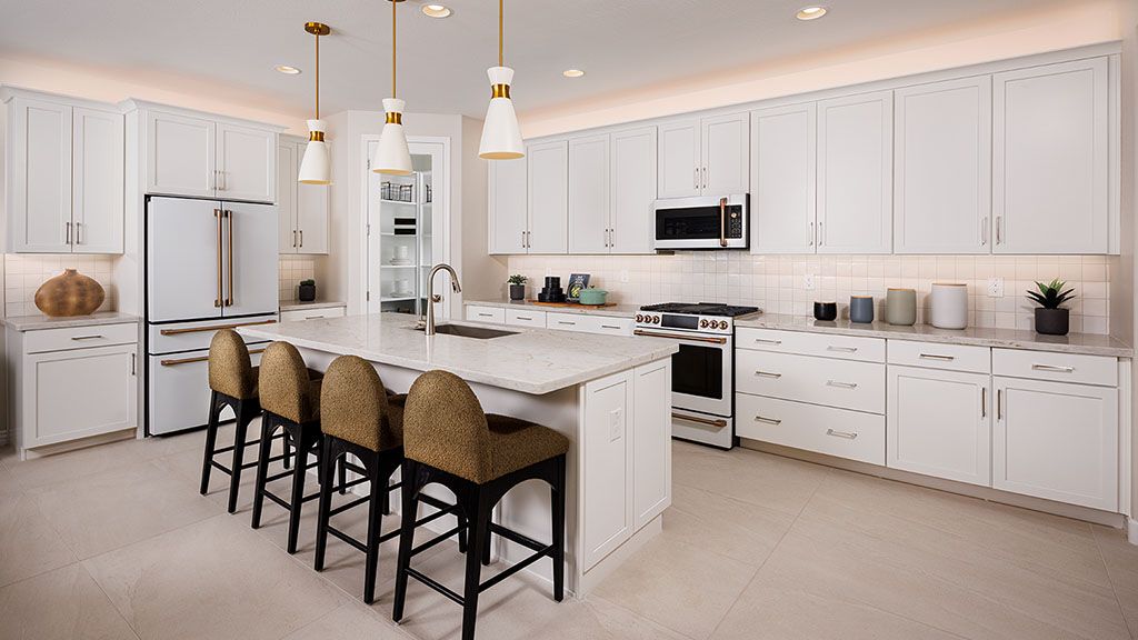 Alamar Journey Compass Kitchen 1024x576
