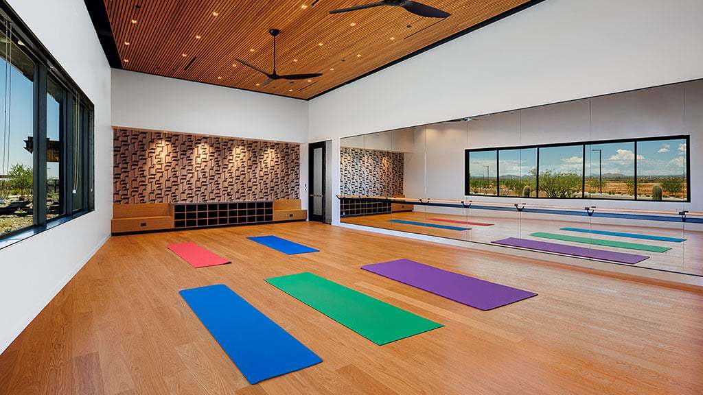Verdin Nest Movement Studio Yoga 1024x576