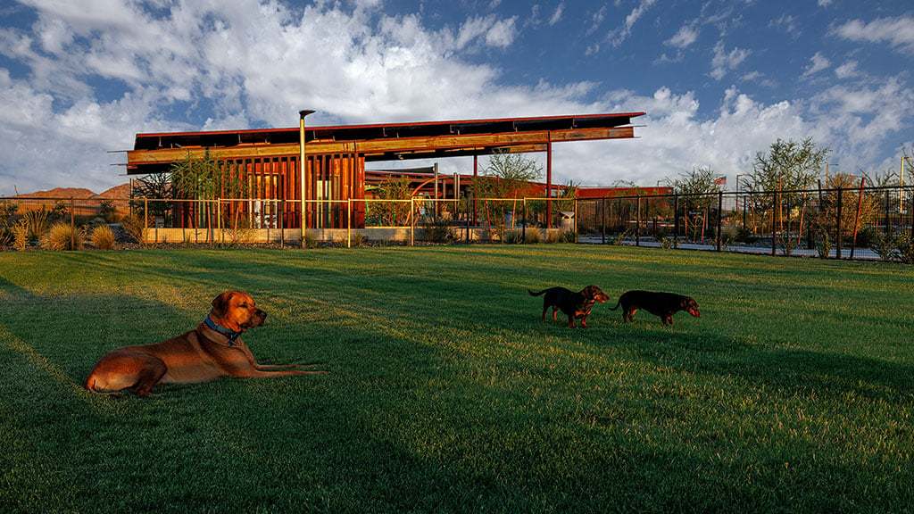 Verdin Nest Dog Park v2 1024x576