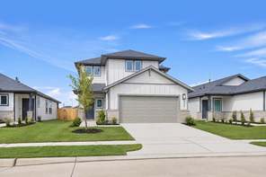 17423 Lush Laurel Lane (Paisley)