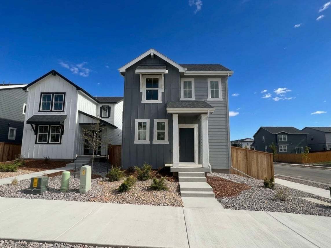 Stella - Farmlore: Brighton, Colorado - Taylor Morrison