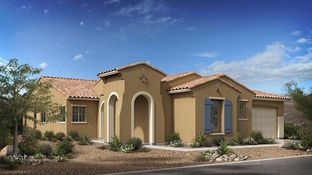 Arabian - Victory at Verrado Venture II Collection 55+: Buckeye, Arizona - Taylor Morrison