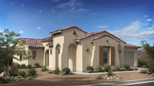 Palomino - Victory at Verrado Venture II Collection 55+: Buckeye, Arizona - Taylor Morrison