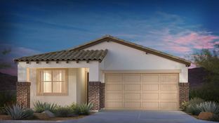 Dolce - CantaMia at Estrella 55+: Goodyear, Arizona - Taylor Morrison