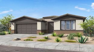 Coconino - Ovation at Meridian 55+: Queen Creek, Arizona - Taylor Morrison