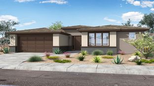 Havasupai - Ovation at Meridian 55+: Queen Creek, Arizona - Taylor Morrison
