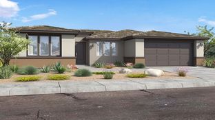 Sedona - Ovation at Meridian 55+: Queen Creek, Arizona - Taylor Morrison