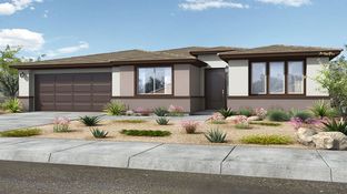 Sunrise - Ovation at Meridian 55+: Queen Creek, Arizona - Taylor Morrison