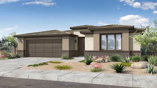 Tonto - Ovation at Meridian 55+: Queen Creek, Arizona - Taylor Morrison