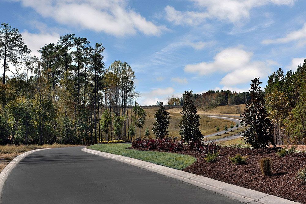 Bridgeberry Community Streetscape