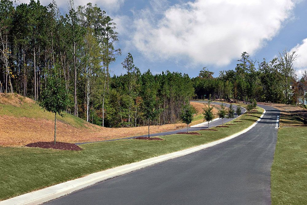 Bridgeberry Community Streetscape