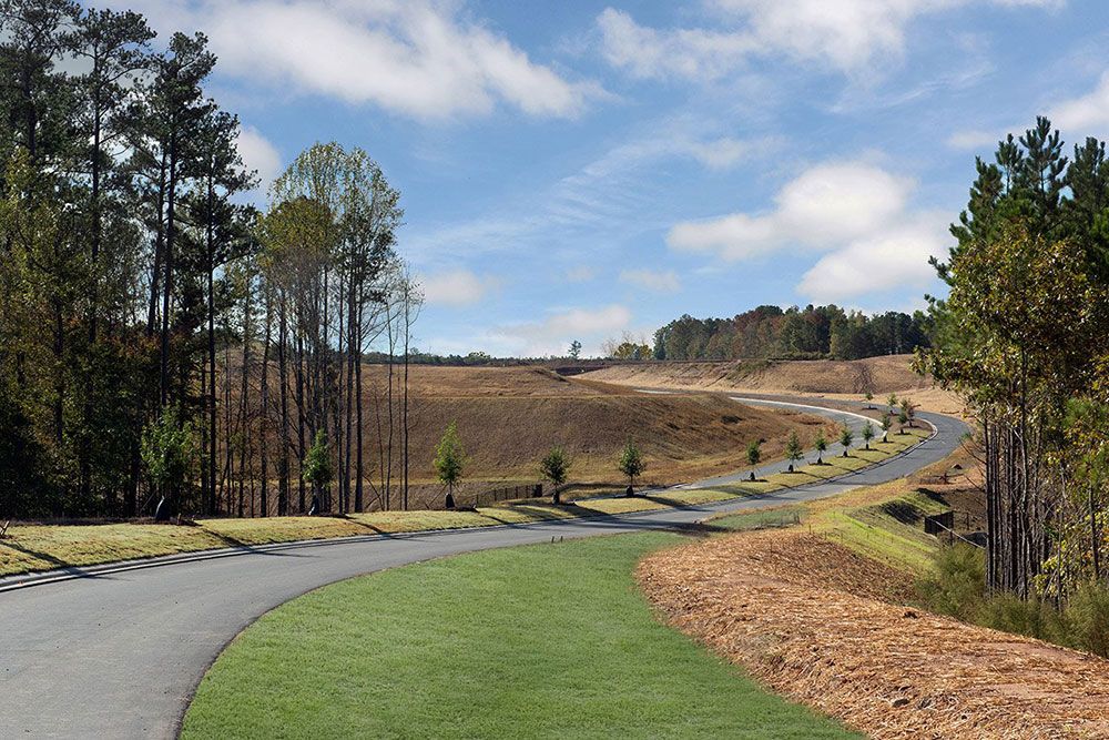 Bridgeberry Community Streetscape