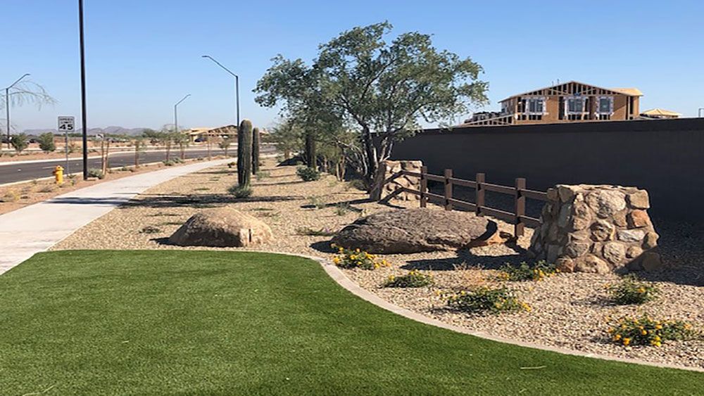 Beautiful Desert Landscaping