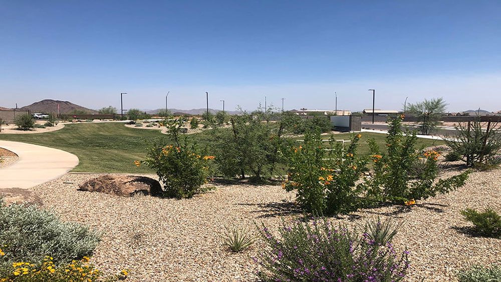 Beautiful Desert Landscaping2