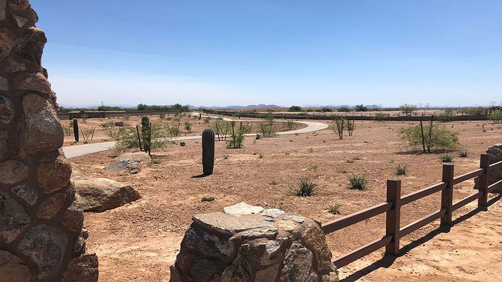 Beautiful Desert Scenery