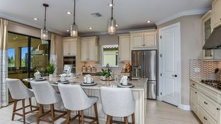 Lazio - Esplanade at Wiregrass Ranch: Wesley Chapel, Florida - Taylor Morrison