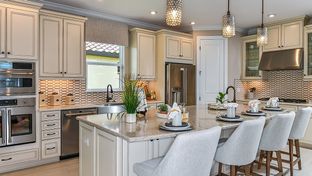 Lazio - Esplanade at Wiregrass Ranch: Wesley Chapel, Florida - Taylor Morrison