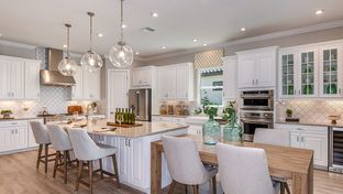 Pallazio - Esplanade at Azario Lakewood Ranch: Lakewood Ranch, Florida - Taylor Morrison