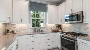 Ibis - Esplanade at Skye Ranch: Sarasota, Florida - Taylor Morrison