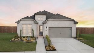 Merlot - Highland Lakes 50s: McKinney, Texas - Taylor Morrison