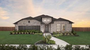 Auburn - Cross Creek Meadows 55s: Celina, Texas - Taylor Morrison