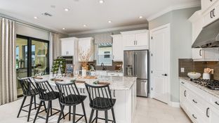 Lazio - Esplanade by the Islands: Naples, Florida - Taylor Morrison