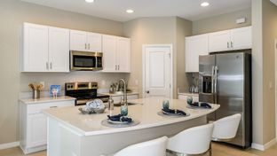 Jasmine - The Towns at Firethorn: Parrish, Florida - Taylor Morrison