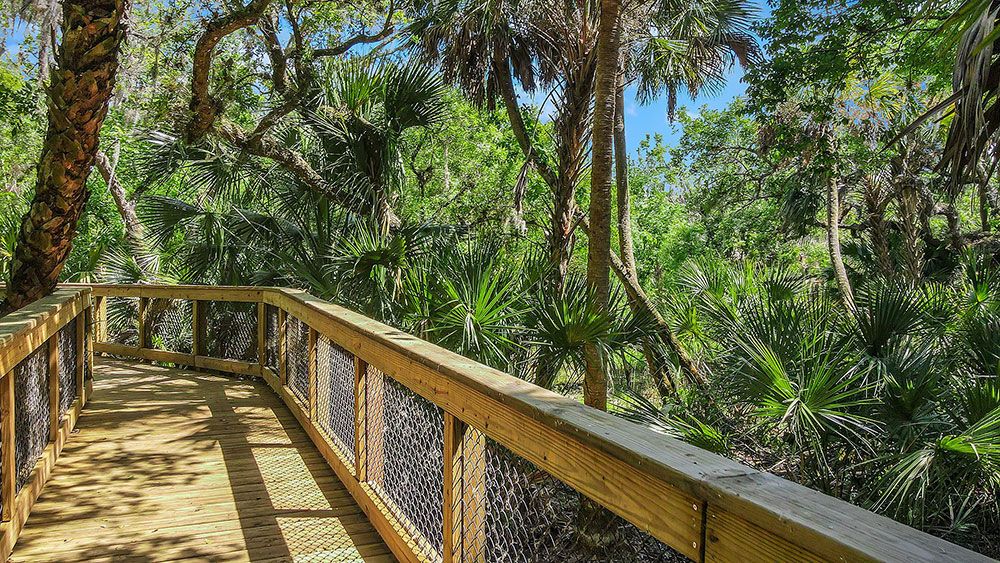 Skye-Ranch-Trail-4571-16x9