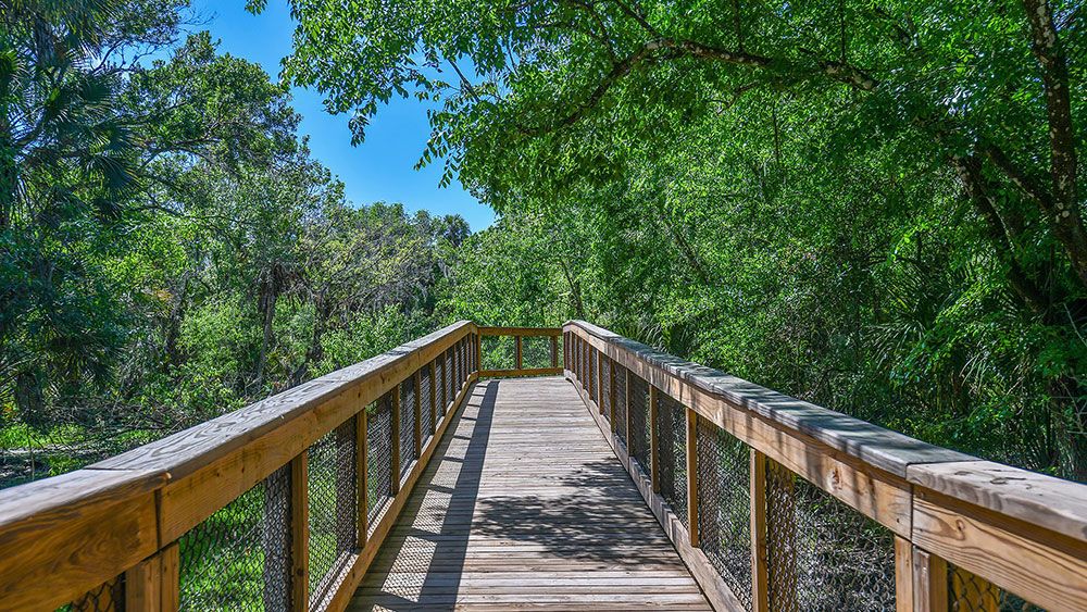 Skye-Ranch-Trail-4589-16x9