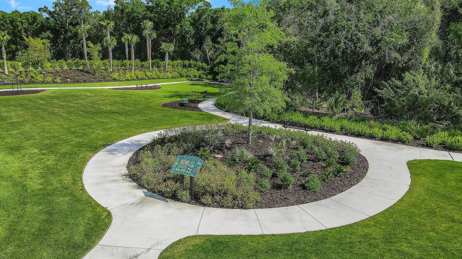 Butterfly Garden
