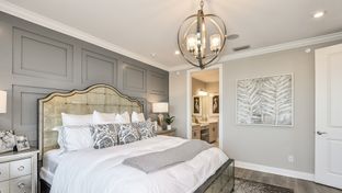 Vitale - Esplanade by the Islands Coach Homes: Naples, Florida - Taylor Morrison